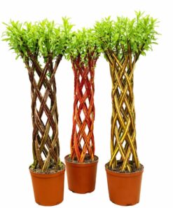 84af8b58ac0dd501ef31b93d48b1d093