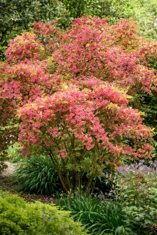 6e275ac0c1d5fcce55d1e435d64f47f3