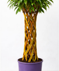 03b76dc29b3d92a3c0accfee7c463fef