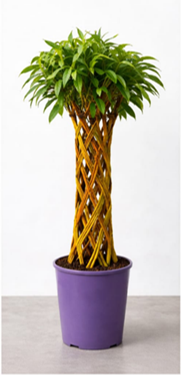 03b76dc29b3d92a3c0accfee7c463fef