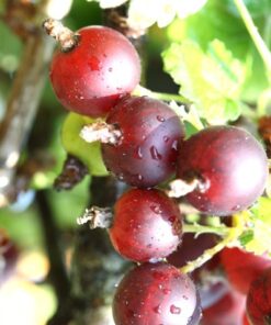 0cb00baaec126321eb2a45d353eed45f