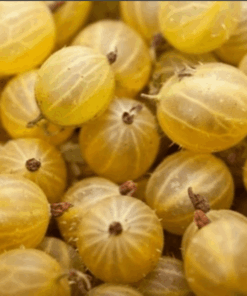 3baefd87f7560c891a0deb211e4fd3f3