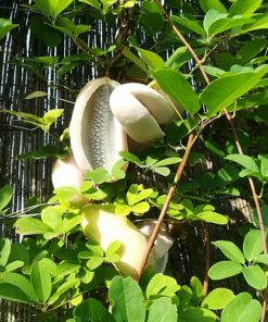 91b555287a9f849cee0994b8c4b28db4