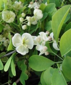 fb701de5eac19862f798f2d062b9123b