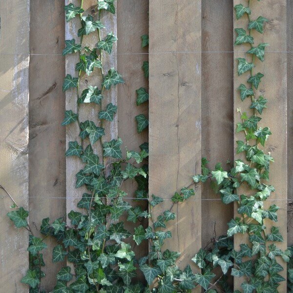 23d50b5abd09ff5c98c4cc7ad8ed2273