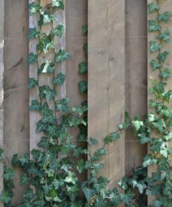 23d50b5abd09ff5c98c4cc7ad8ed2273