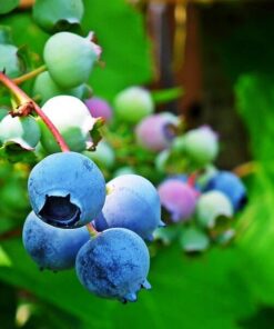 799ca4e127212695e82be85c6bb55769