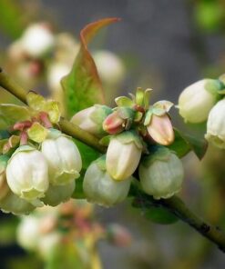 1ed7d5692139ccb882272614ec9270ef