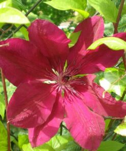 e83649dfcf7f43fbd4e2ea43b90161da