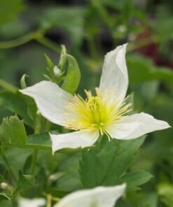 d58233631581413f90a6b3b22d165e11