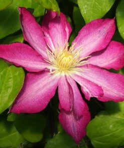 546adfef9da79dbf3995a2771c3509b6