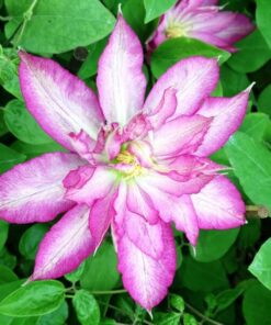 74a9f977e3e3f9dee2f961ec1ea591fc