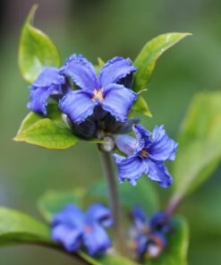 2c162f8fe6a8d4523aad1fb4f500b848