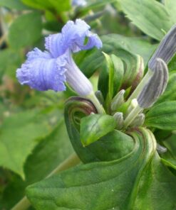 014f40b8c10371d17cba8dd1ba7fdecd