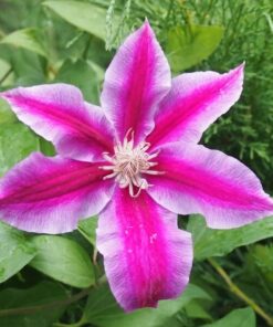 d1816a2c7f9fa1e5c95f7b855403d6c8