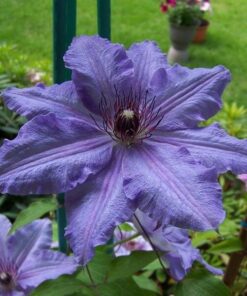 aa7140c5e34f4002abd5846922380994