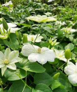 73cfad1cc5f341a8f88b3a7d7eabf7d6