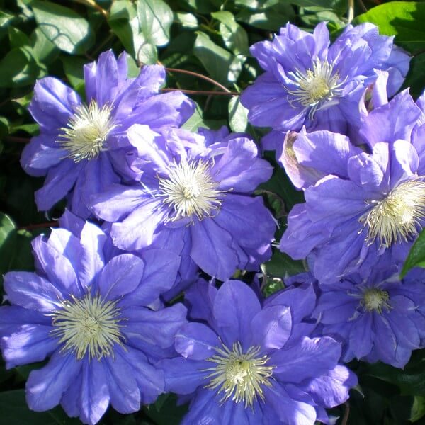 eb95f9b5286b4b60919fbcf4c6ed5c0e