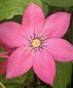 b184aa2f4d164e34cb5bb2489ad1e4a0