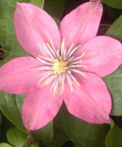 65b0a345268f07b2893af8520fb2a39c