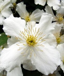 ad636afc8f570d4ef874cbeb79bdf2b2