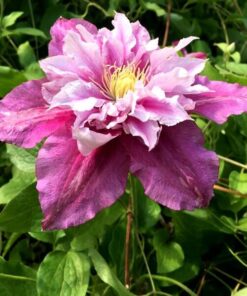 bbbb07b8673f1934d9795587e8504a57