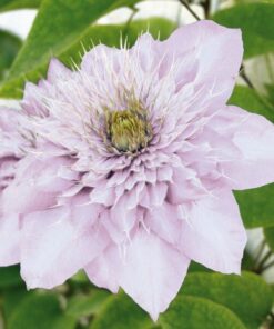 d62748f62052a9d396ebfd99714e027d