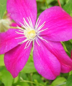 0948f9a1b80b57292192d2732ff78546