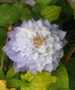 57254dbeb0bb7ea7756518e9b5c933f8