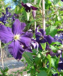 810323b4186d51201ae722ee85d87114