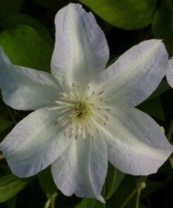 84abeea729b286b3301b42e5d4d4d9e9