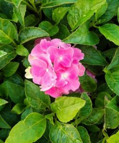 c2cb588efe02f454d672a3471ac73da1