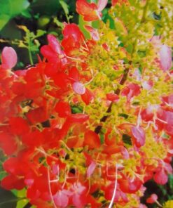 7f9f04a42d774fd63250e96ce72c2415