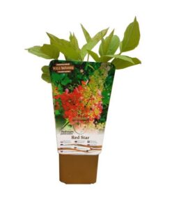 51cbd4c69558d159c6bbf256620cbc22