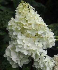 18f0d236637409646069f94a79722c69