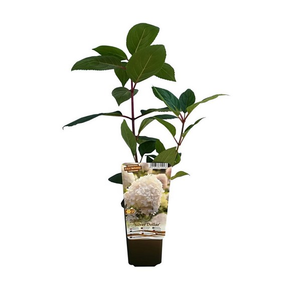 436f043b84e61fe4579e365a340fde0b