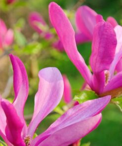 ea2fc405d42e91e548aeedb14123ac84