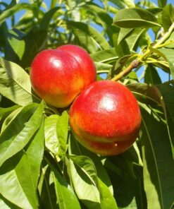 72639c9c8b3843c6fb2136316aab7d9b