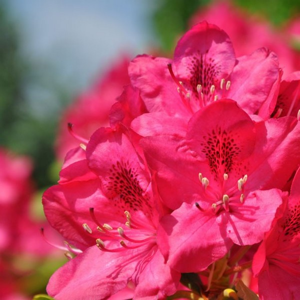 02f4536900ed65b3a6b2d0c03e99e747