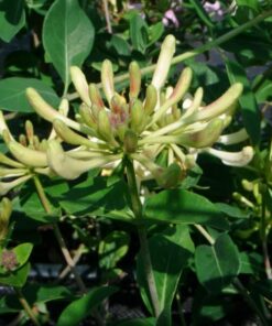 dd7c93b7194c6d35ed1b2d76d7413d1f