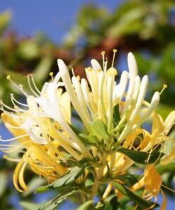 fec648dd7722d2e916fd51867eff2114