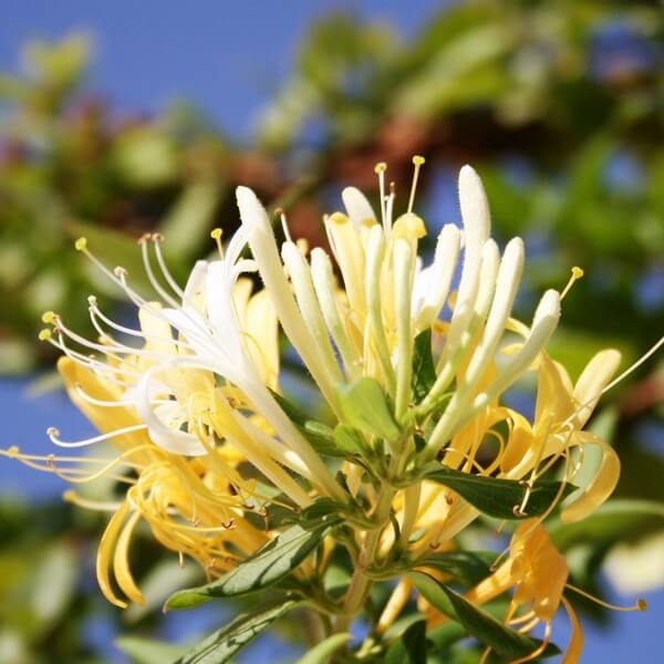 fec648dd7722d2e916fd51867eff2114