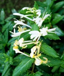 282792b23097b5f0b64aa54a10d5f3ce