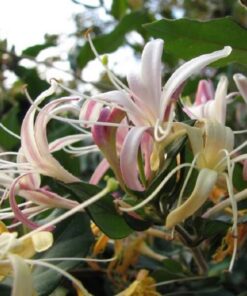 127b6aca1ff6a061818192fe49523aec