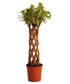 d029bf8a19adbfe981fbbacc8cf44682