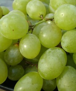 05e5795a0c6542590bb670a574efe512