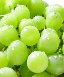 c839761bcfa6c7c5970a8ac723597ae2