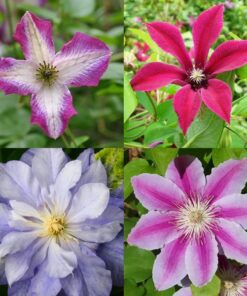 3bb021e9834edcd374c3ddd399517cc9