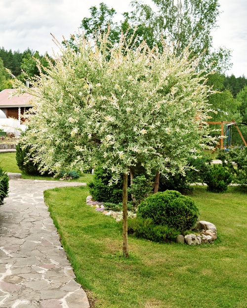 ed8c651c49a9e4970553ac7d5e816e60