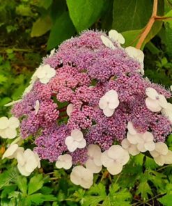 7896ac6f973bc9226a210a05db152bad